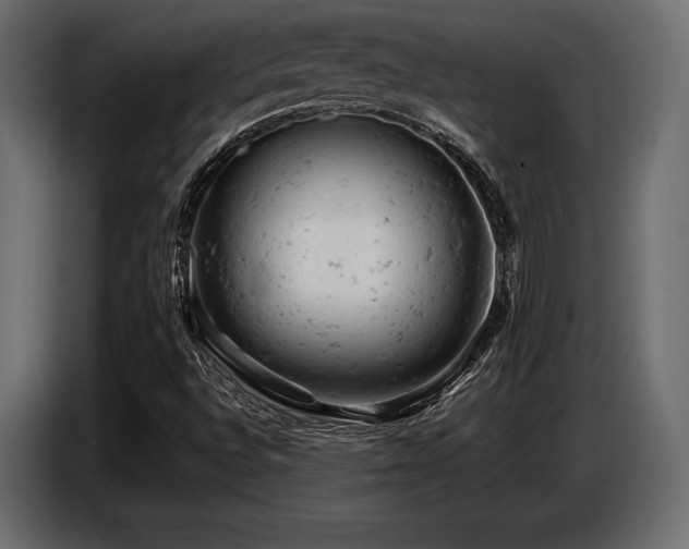 X0000087671496200705041001