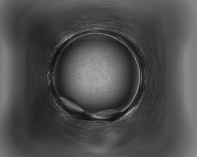 X0000087671497200705041001