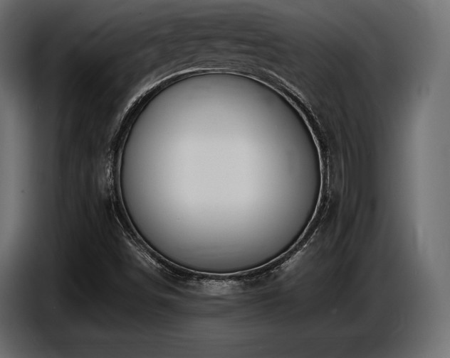 X0000087671498200705041001