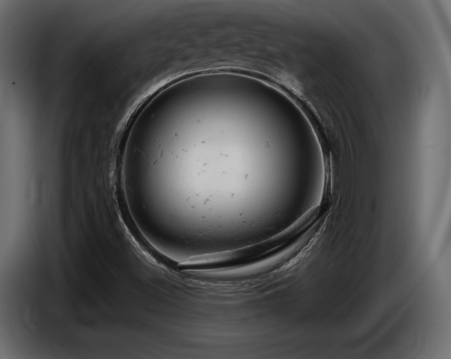 X0000087671500200705041001