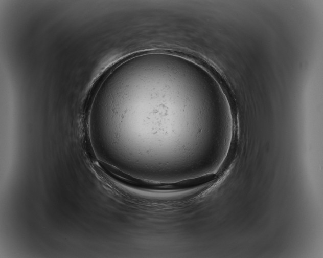 X0000087671501200705041001