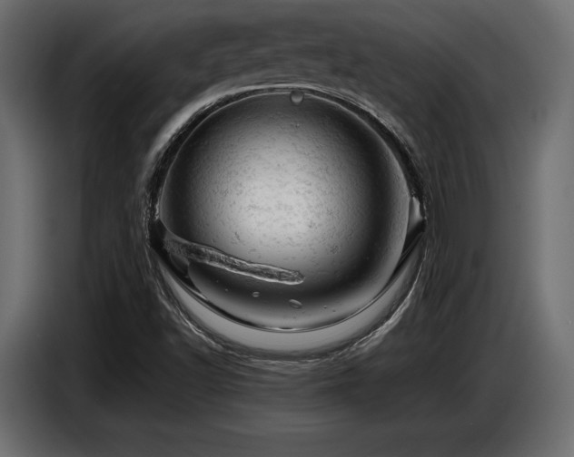 X0000087671502200705041001