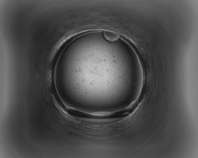 X0000087671503200705041001