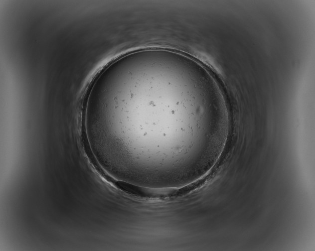 X0000087671504200705041001