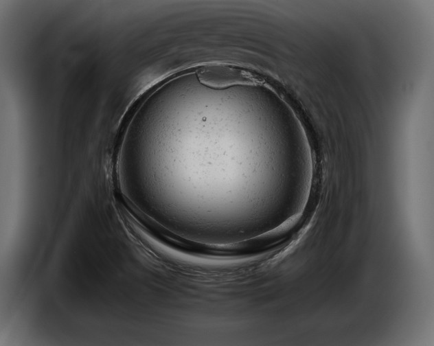 X0000087671505200705041001