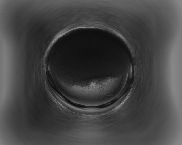 X0000087671506200705041001