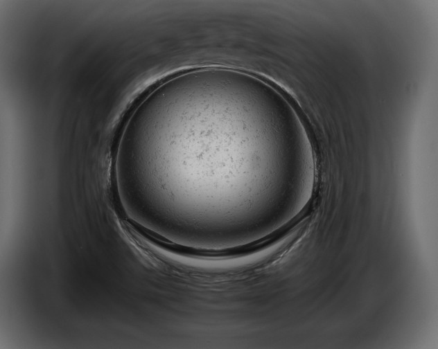 X0000087671507200705041001