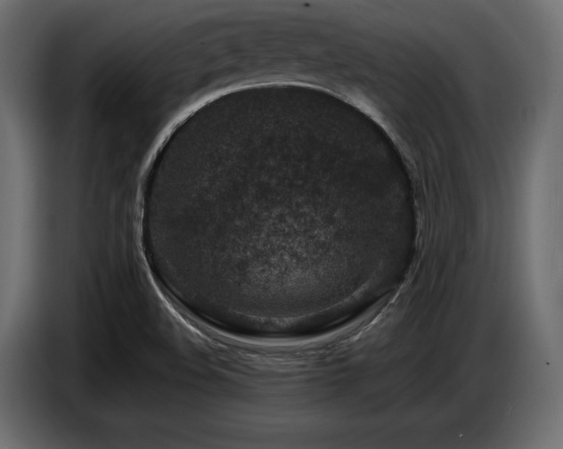 X0000087671508200705041001