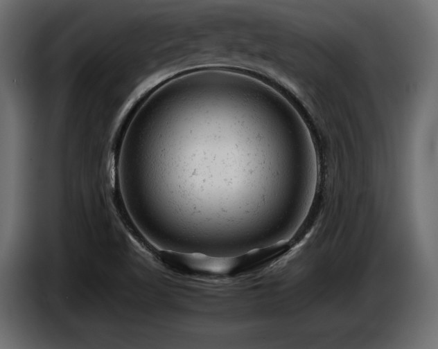 X0000087671509200705041001