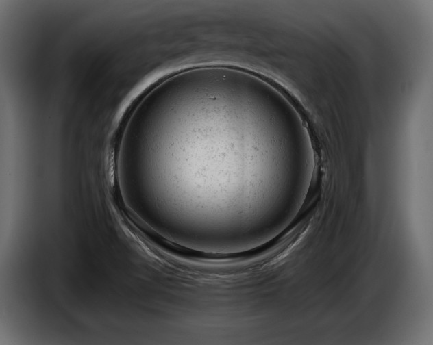 X0000087671510200705041001