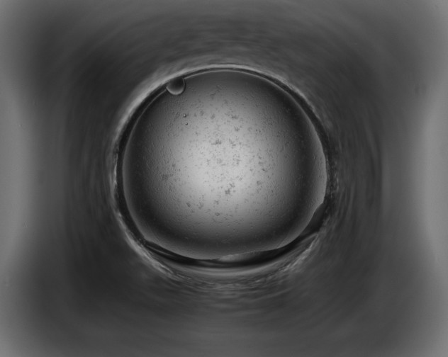 X0000087671511200705041001