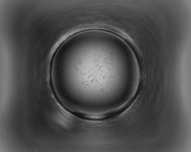 X0000087671512200705041001