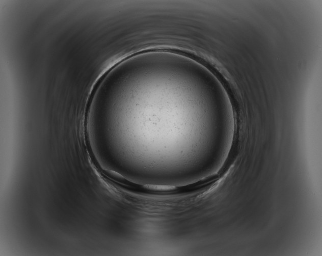 X0000087671513200705041001