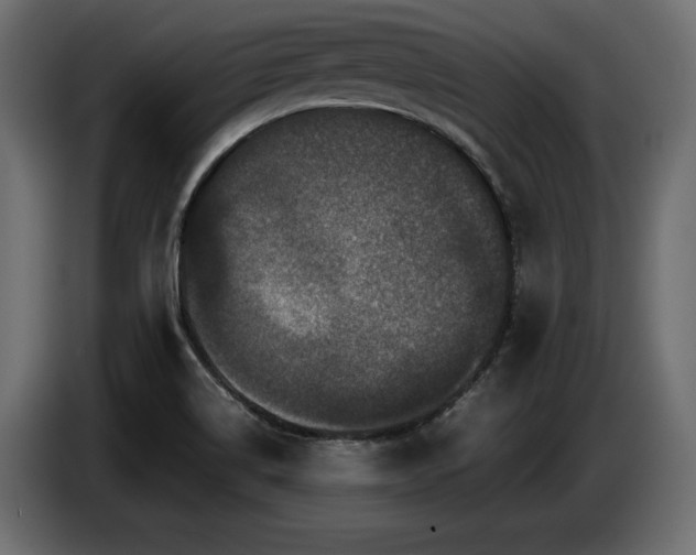 X0000087671514200705041001