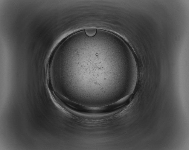 X0000087671515200705041001