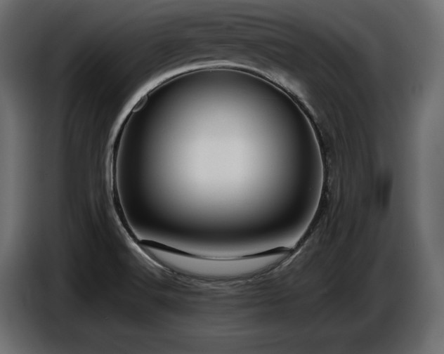 X0000087671516200705041001