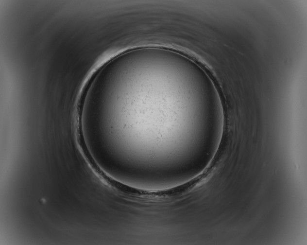 X0000087671517200705041001