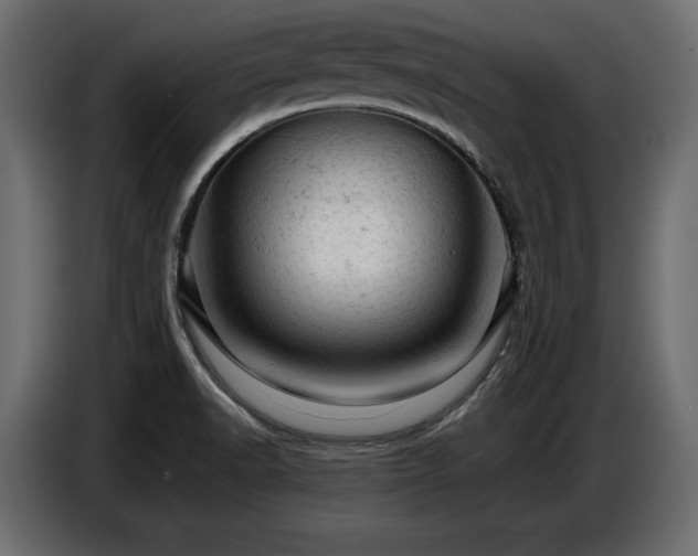 X0000087671518200705041001