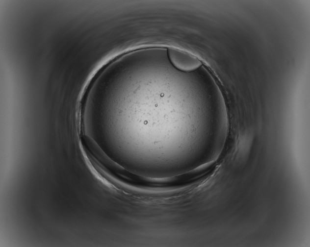 X0000087671519200705041001