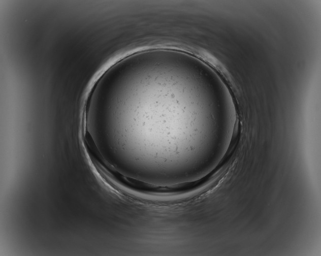 X0000087671520200705041001