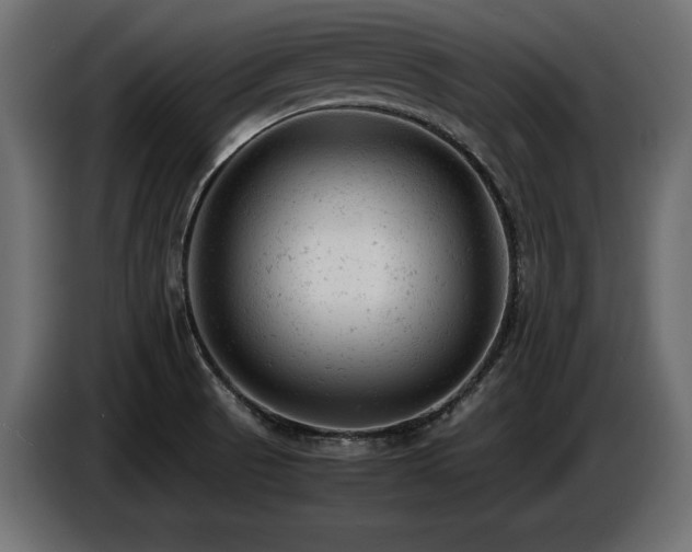 X0000087671521200705041001