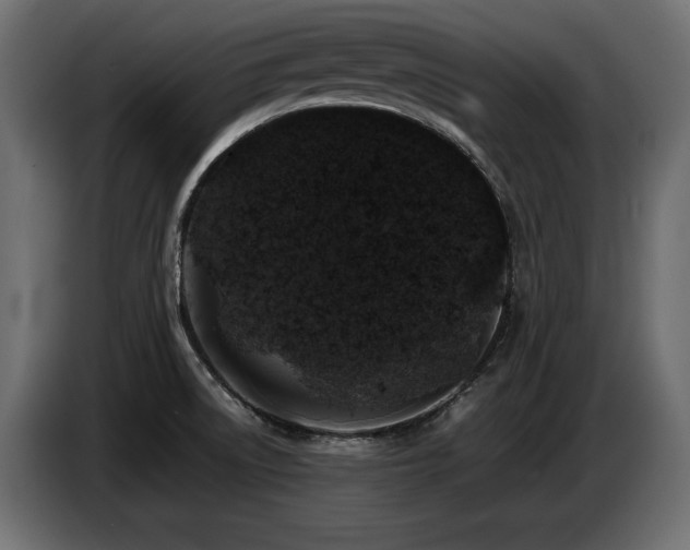 X0000087671522200705041001