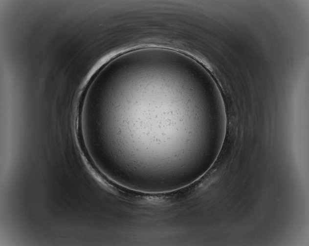 X0000087671523200705041001