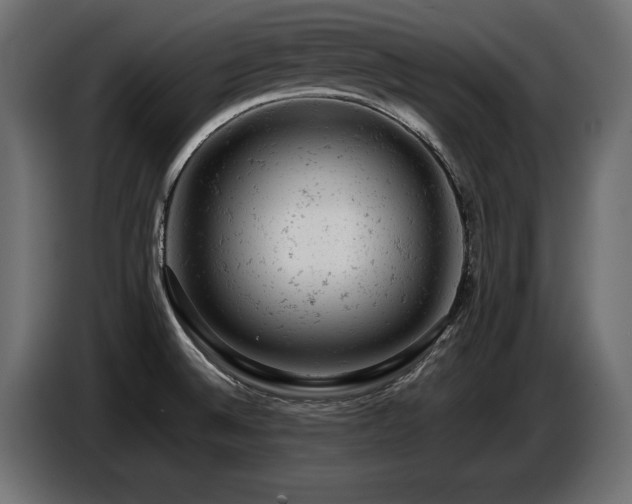 X0000087671524200705041001