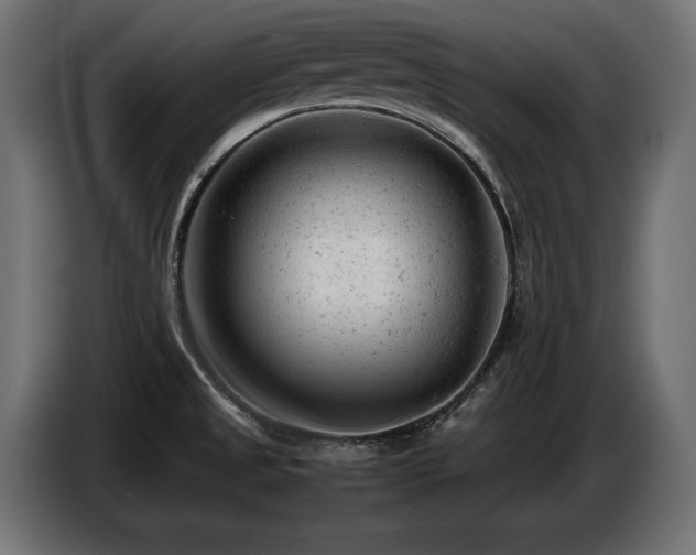 X0000087671525200705041001