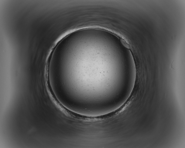 X0000087671526200705041001