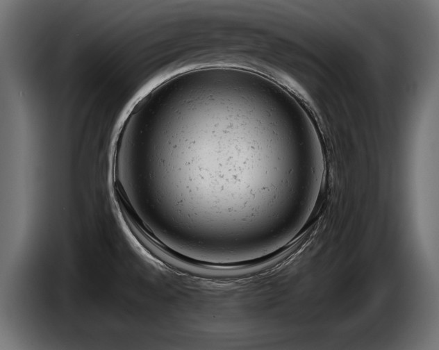 X0000087671528200705041001
