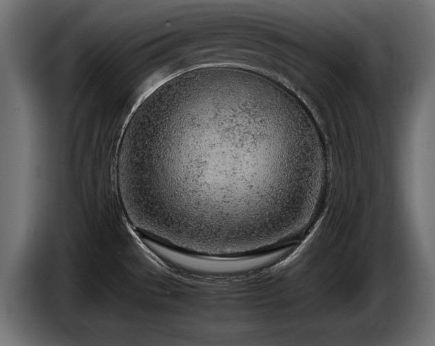 X0000087671529200705041001