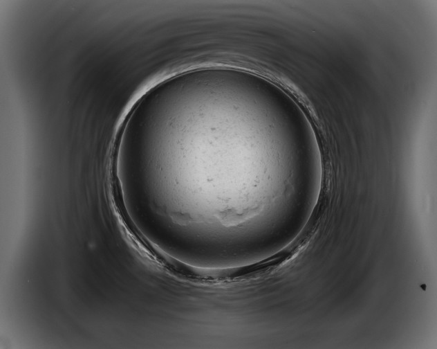 X0000087671530200705041001