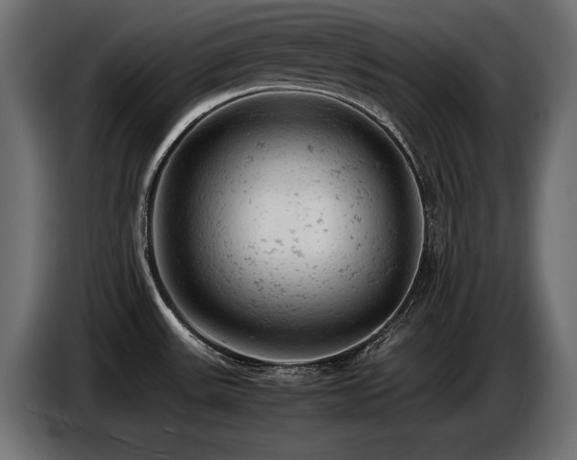 X0000087671531200705041001