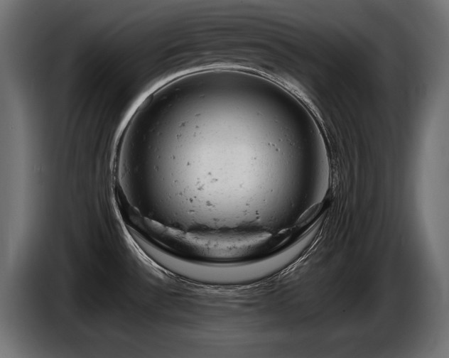 X0000087671532200705041001