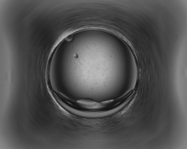 X0000087671533200705041001