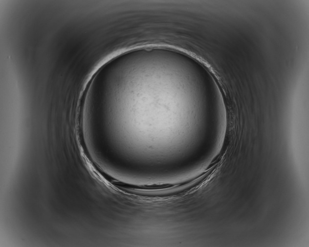 X0000087671534200705041001