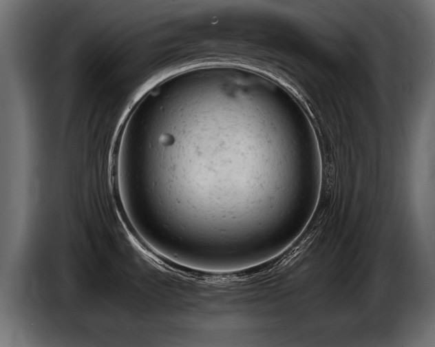 X0000087671535200705041001