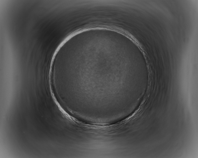 X0000087671536200705041001