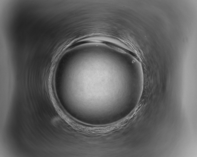 X0000087670001200705111207