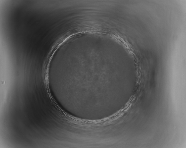 X0000087670002200705111207