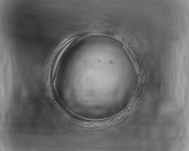 X0000087670005200705111207