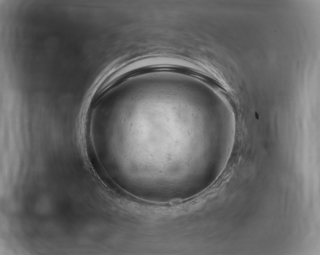 X0000087670007200705111207