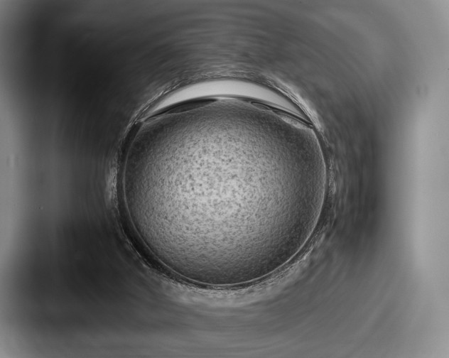 X0000087670010200705111206