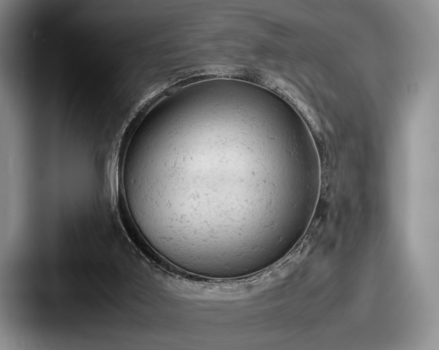 X0000087670011200705111206