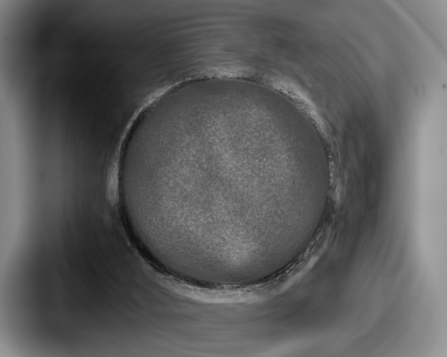 X0000087670012200705111206