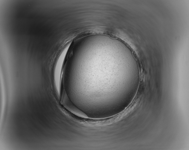 X0000087670013200705111206