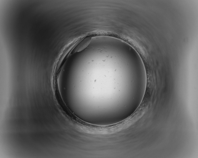 X0000087670015200705111206