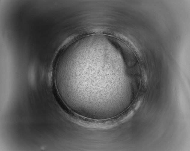 X0000087670016200705111206