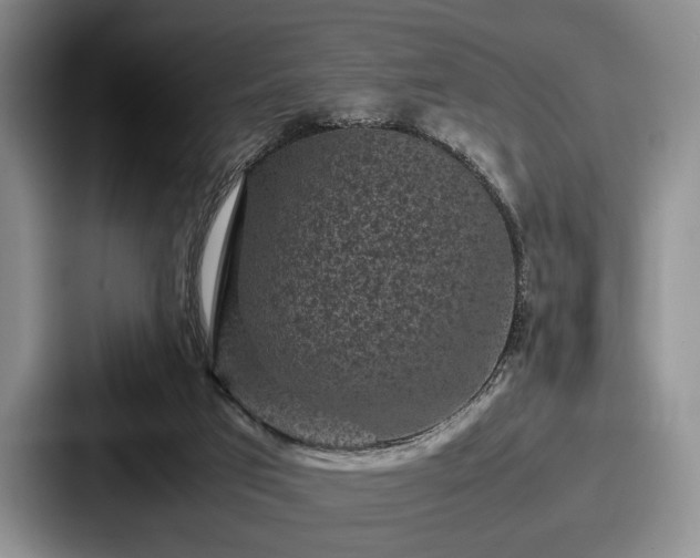 X0000087670017200705111206